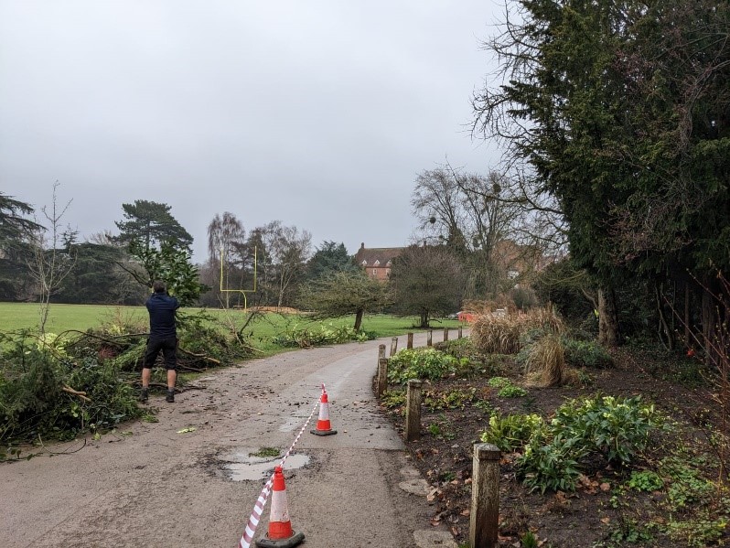 Managing the Hayrick Border clearance