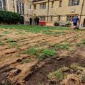 The lawn at Lincoln College in poor state before work begun