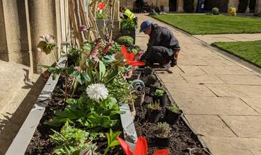 Jesus College Garden