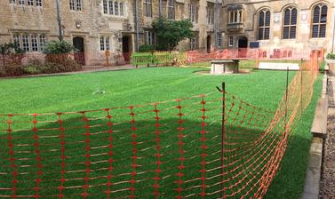 Image of newly laid green grass with a orange fence around it