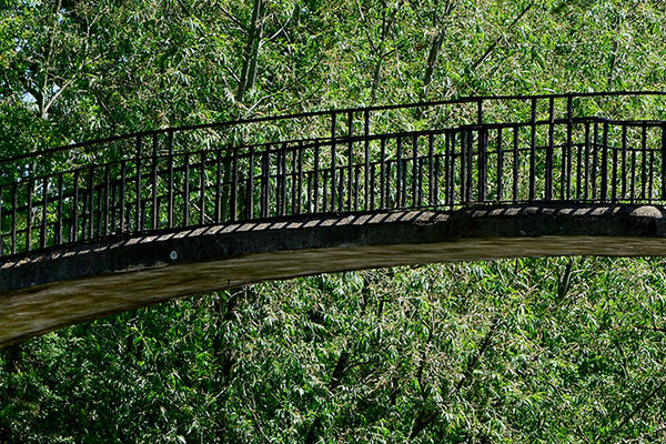 Home University Parks