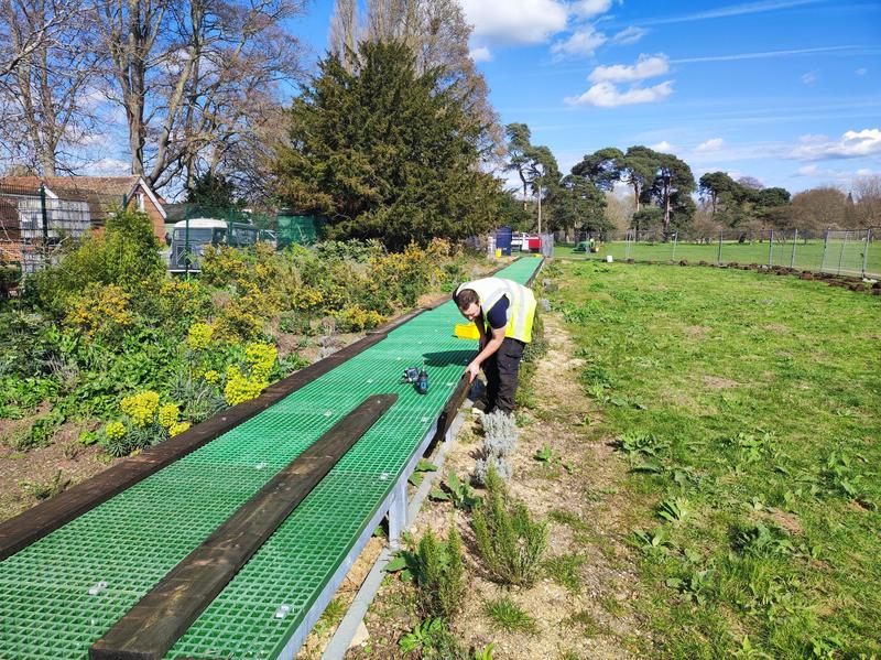 protecting badgers in university parks