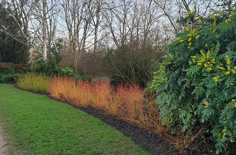 Photo of the landscape at Cox's Corner, University Parks