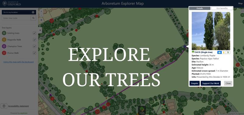 explore our trees