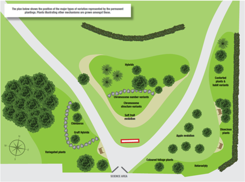 genetic garden revised informal plan