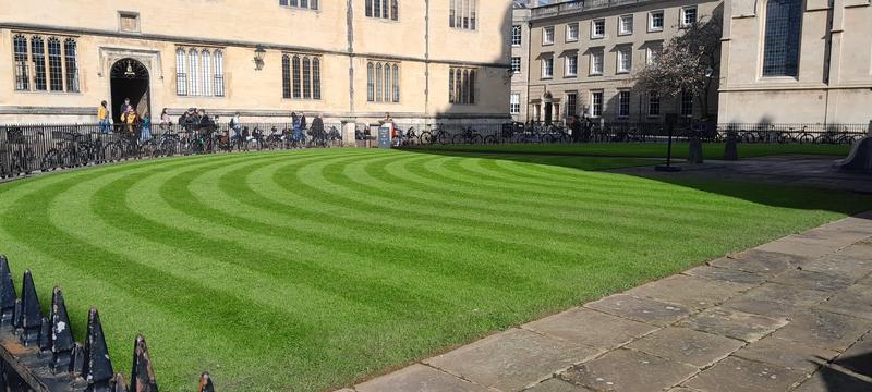 mowing at radcliffe camera