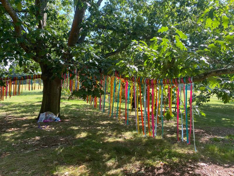 sobell house ribbons