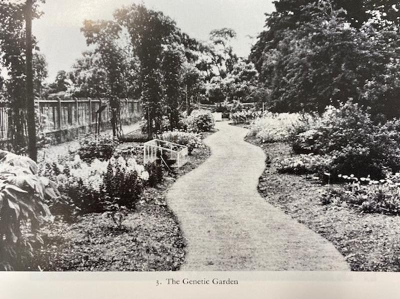 the first genetic garden