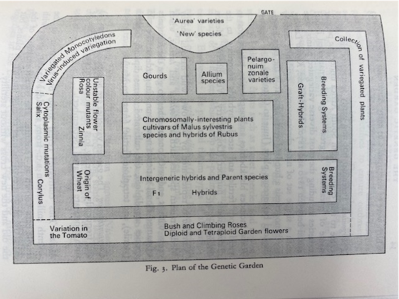 the genetic garden in