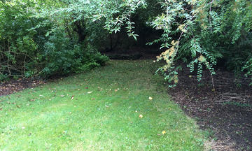 49 Banbury road landscaping - Before