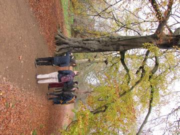 Guests join Sam Prior for a guided walk around some of the most notable trees in the University Parks