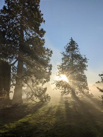 october morning university parks
