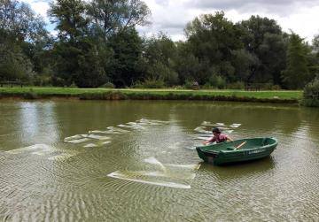 Poetry on parks pond