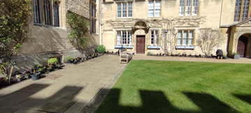 Pots of new plants laid out at Jesus College