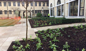 St Cross College landscaping - After