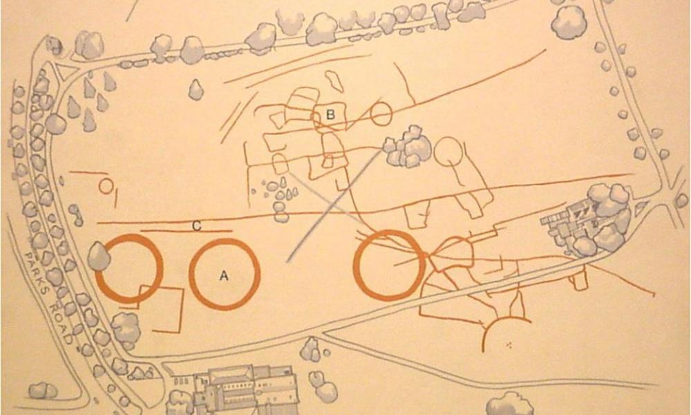 Aerial Map of Crop Marks
