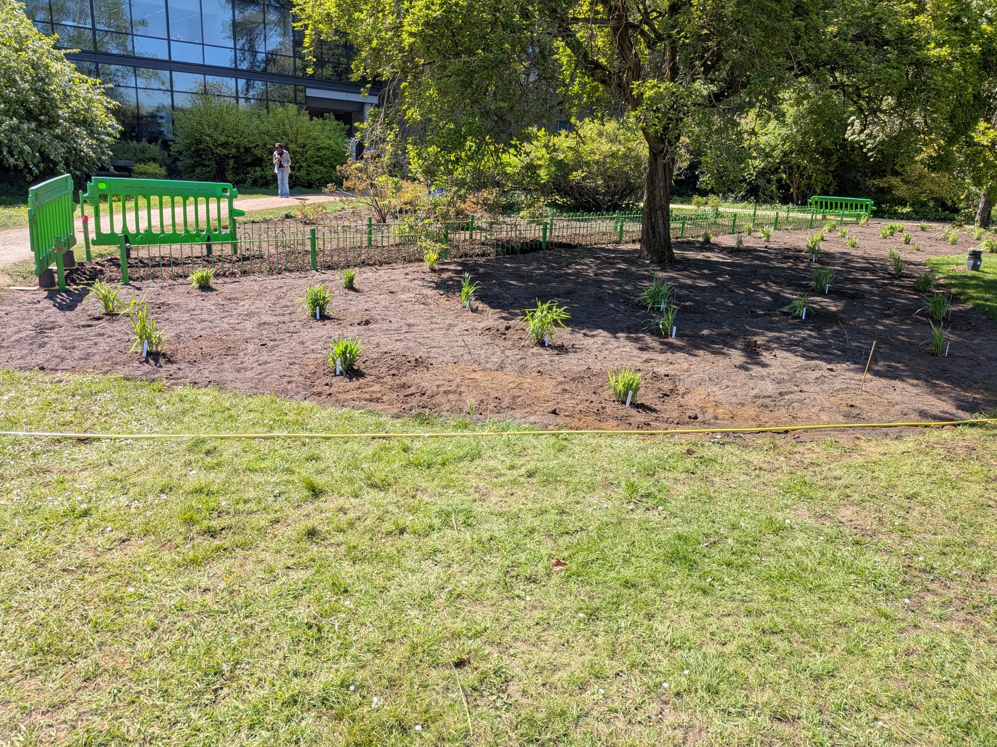 Planting