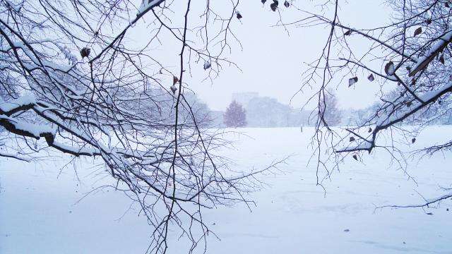 Snowy bridge in University Parks