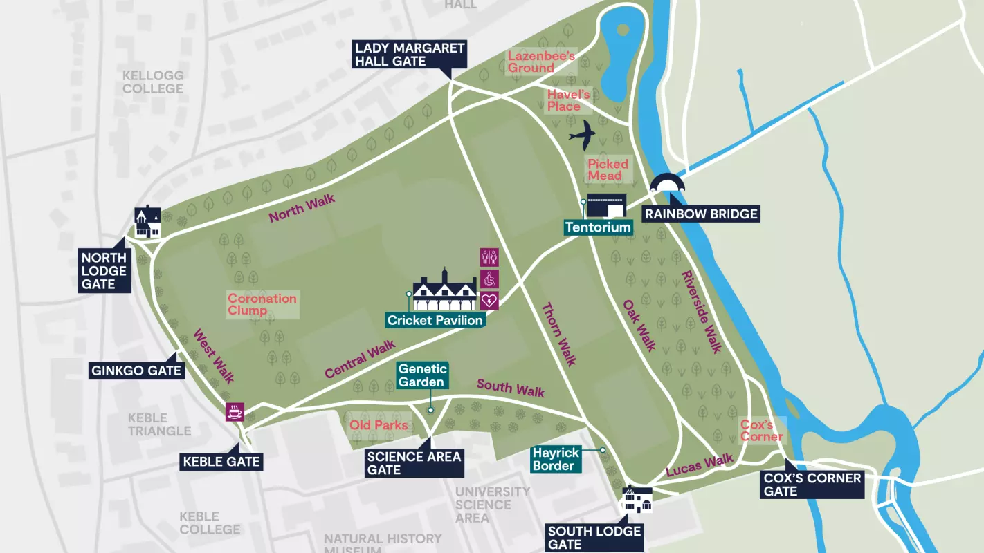 Visitor Map