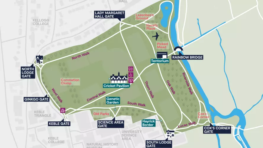 Visitor Map