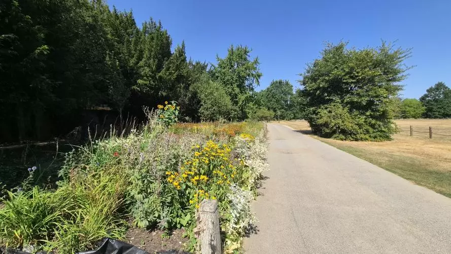 The Hayrick Border at University Parks