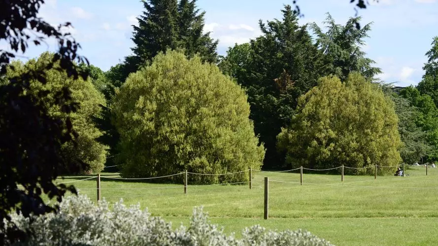 university parks  generic 06 2015 