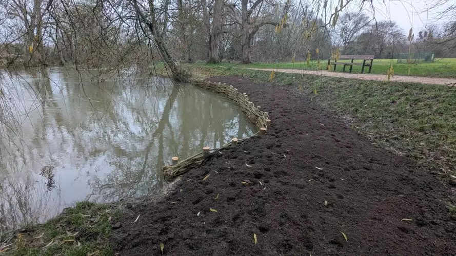 Pond bank