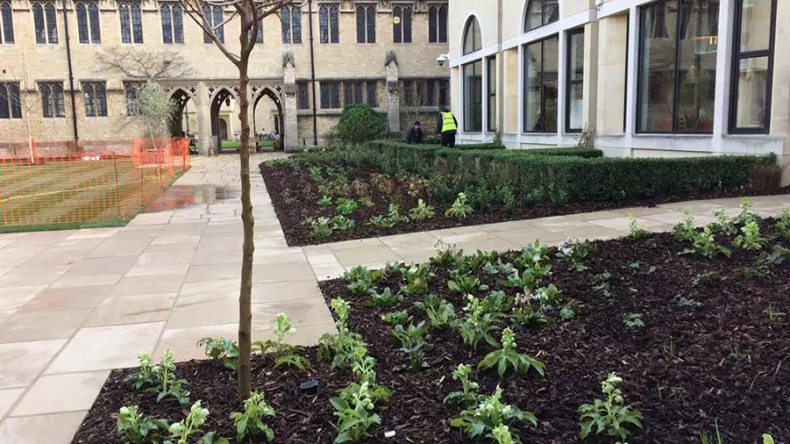 St Cross College landscaping - After