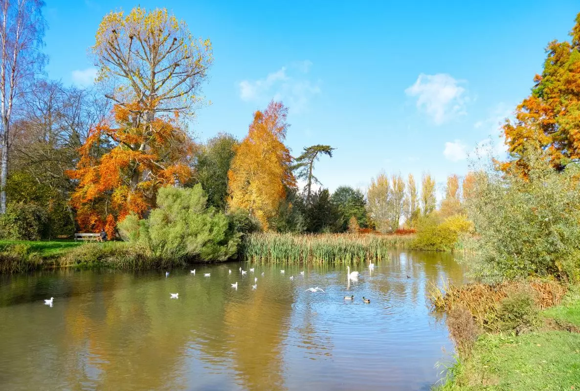 University Parks pond in the autumn
