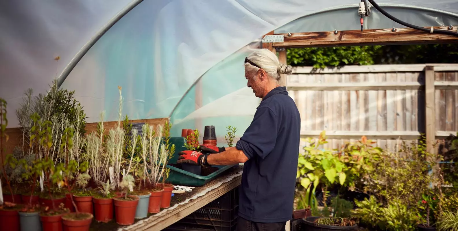 University Parks gardener potting plants