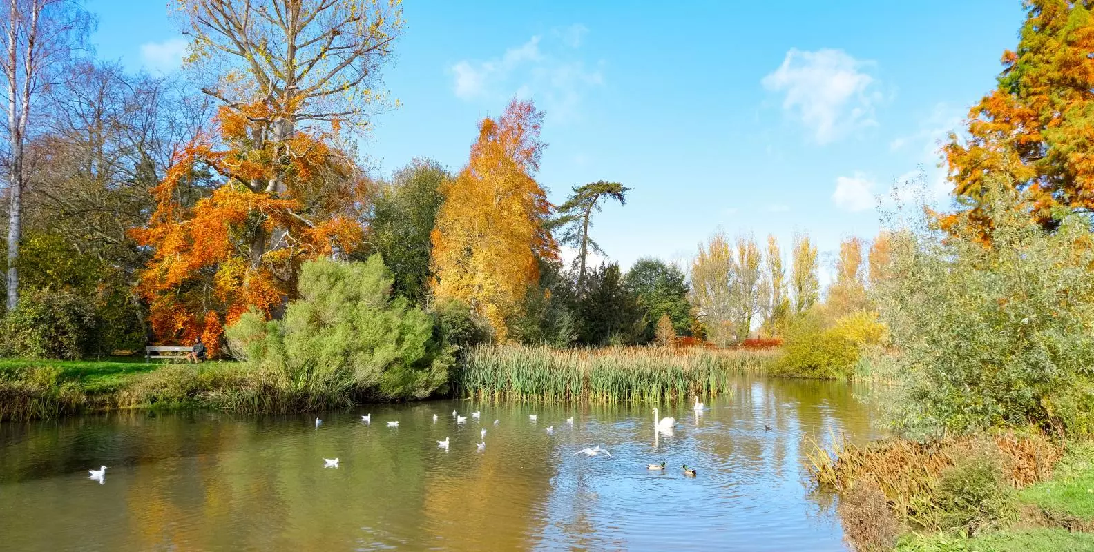 University Parks pond in the autumn
