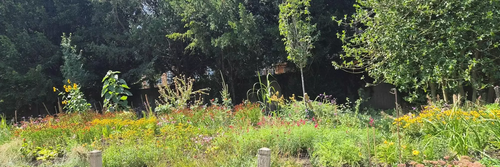 The Hayrick Border at University Parks