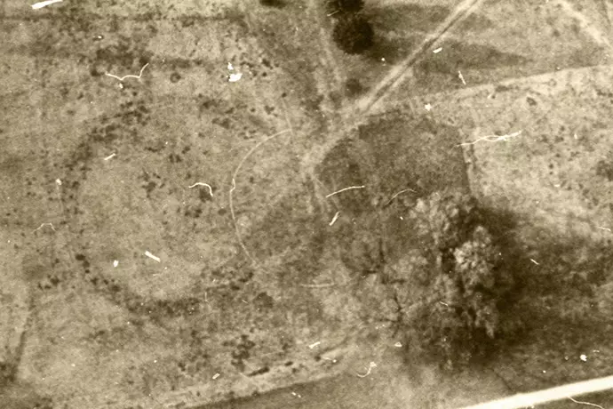 Crop marks